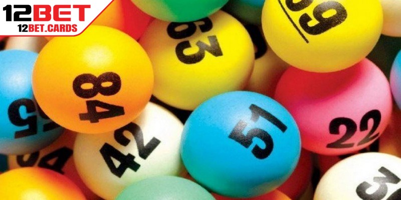 Chuyên gia hỗ trợ sát sao để bet thủ tìm ra con số độc đắc